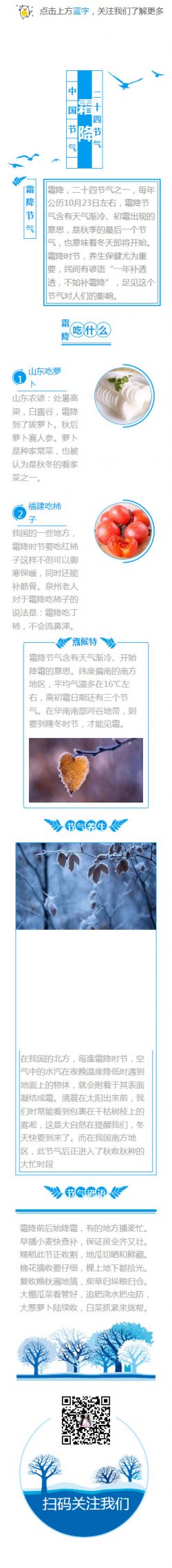 霜降二十四节气中国传统节日素材模板