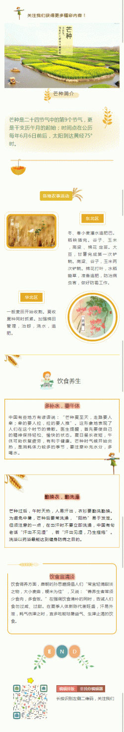 芒种是二十四节气中国传统节日中国风文章模板素材