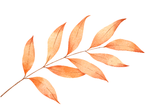 匠心承师道，精业筑未来——2024学年紫幼硕师营智慧班主任系列活动