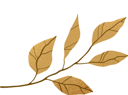 匠心承师道，精业筑未来——2024学年紫幼硕师营智慧班主任系列活动