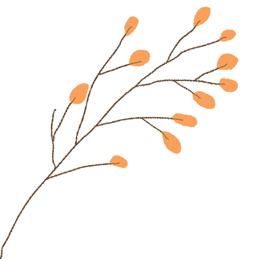 匠心承师道，精业筑未来——2024学年紫幼硕师营智慧班主任系列活动