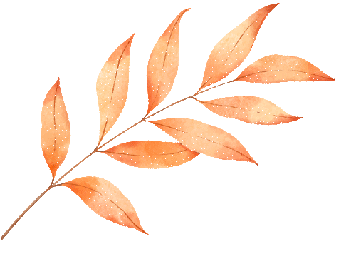 匠心承师道，精业筑未来——2024学年紫幼硕师营智慧班主任系列活动