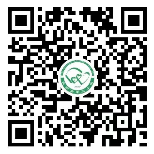 “祥蛇纳福迎新年 童趣盎然启华篇”  崇文小学2025元旦联欢活动