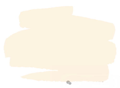 匠心承师道，精业筑未来——2024学年紫幼硕师营智慧班主任系列活动