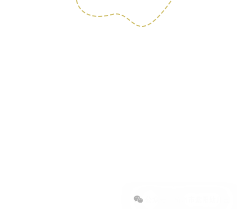 匠心承师道，精业筑未来——2024学年紫幼硕师营智慧班主任系列活动