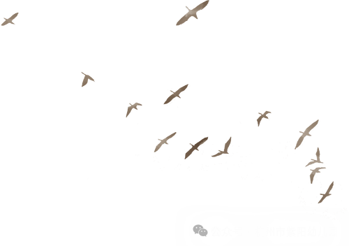 匠心承师道，精业筑未来——2024学年紫幼硕师营智慧班主任系列活动