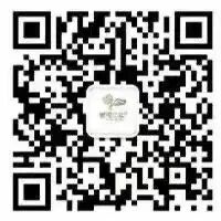 汝河二幼元旦放假通知