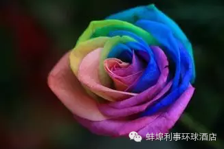 白色情人节，你收到大白了吗？| White Valentine\'s Day