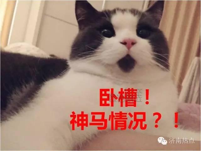 几亿元打造出来的“好客山东”缘何输给了青岛的一只大虾？