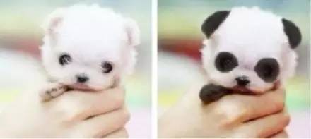 缺人！日赚1000元！这个行业，太火爆！老师也抢手！​什么情况？