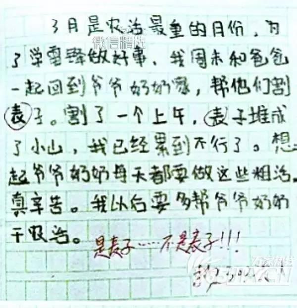 一组逼疯老师萌翻爹娘的小学生作文……