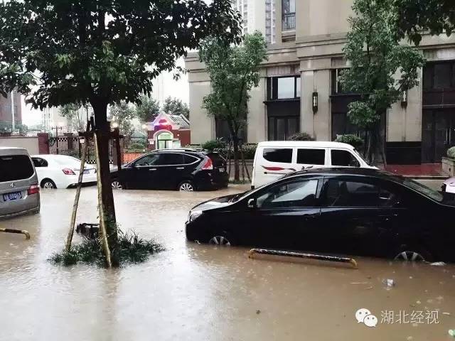 没买涉水险,保险公司照样赔钱！