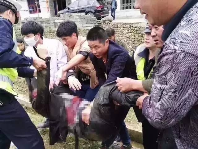 女子被它刺破喉咙当场身亡！这东西满大街都是