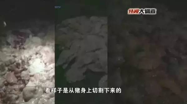 凌晨四点半被拍下，太恶心！千万别再吃了…为了家人速看