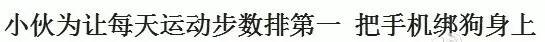 2016年度最扯蛋新闻，我TM还能说什么？