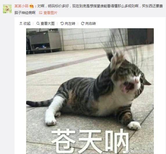 双十一套路深，捉猫猫、定金膨胀翻倍、群战队、购物津贴都什么鬼