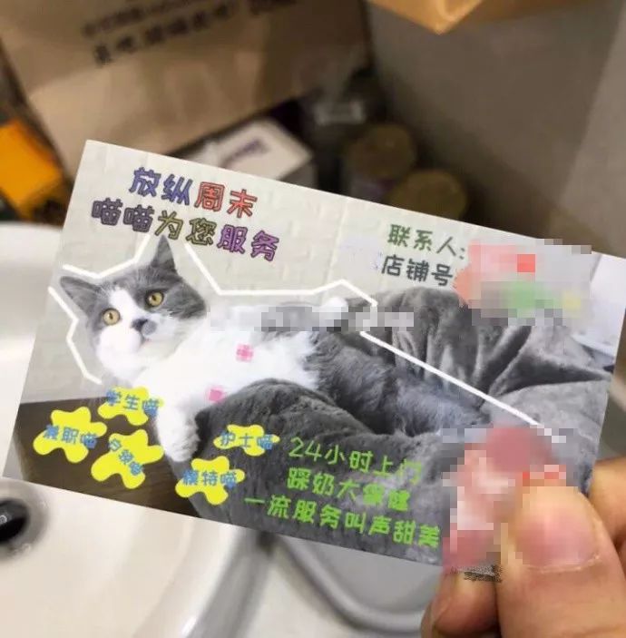 暗访地下“猫色场所”不堪入目！曝光的产业内幕震惊了网络！