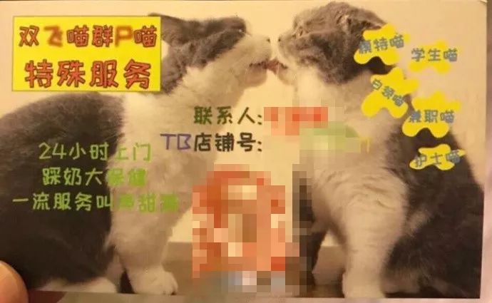 暗访地下“猫色场所”不堪入目！曝光的产业内幕震惊了网络！