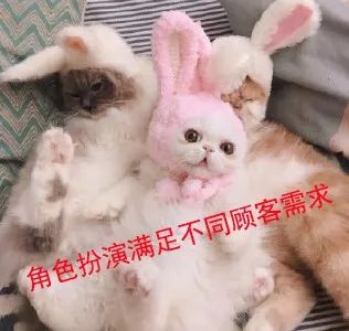 暗访地下“猫色场所”不堪入目！曝光的产业内幕震惊了网络！