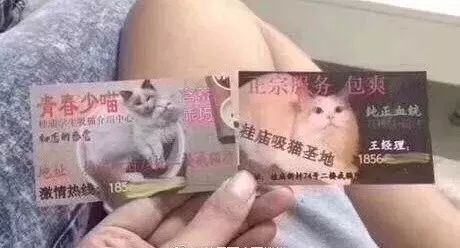 暗访地下“猫色场所”不堪入目！曝光的产业内幕震惊了网络！