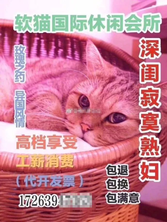 暗访地下“猫色场所”不堪入目！曝光的产业内幕震惊了网络！