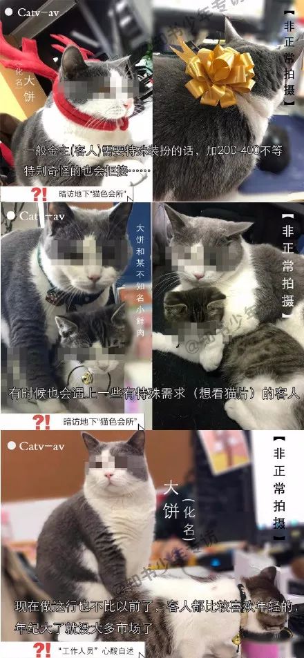 暗访地下“猫色场所”不堪入目！曝光的产业内幕震惊了网络！