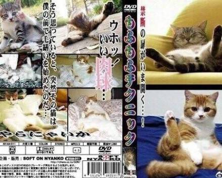 暗访地下“猫色场所”不堪入目！曝光的产业内幕震惊了网络！