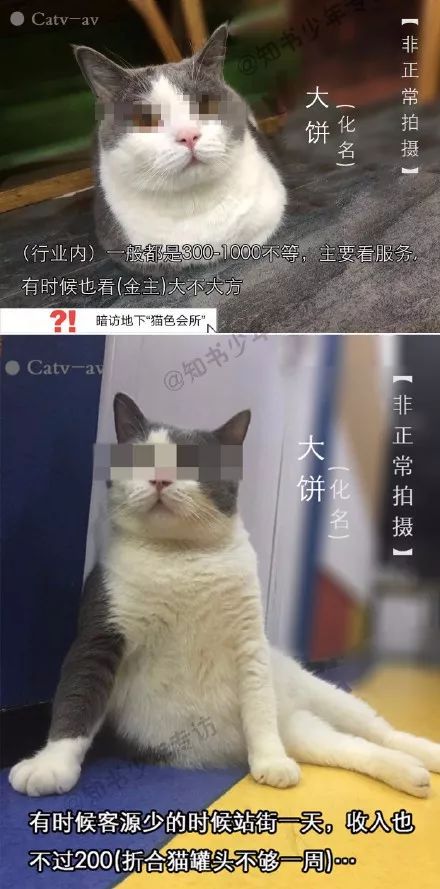 暗访地下“猫色场所”不堪入目！曝光的产业内幕震惊了网络！