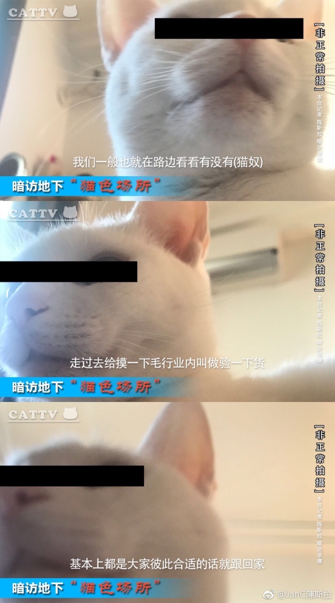 暗访地下“猫色场所”不堪入目！曝光的产业内幕震惊了网络！