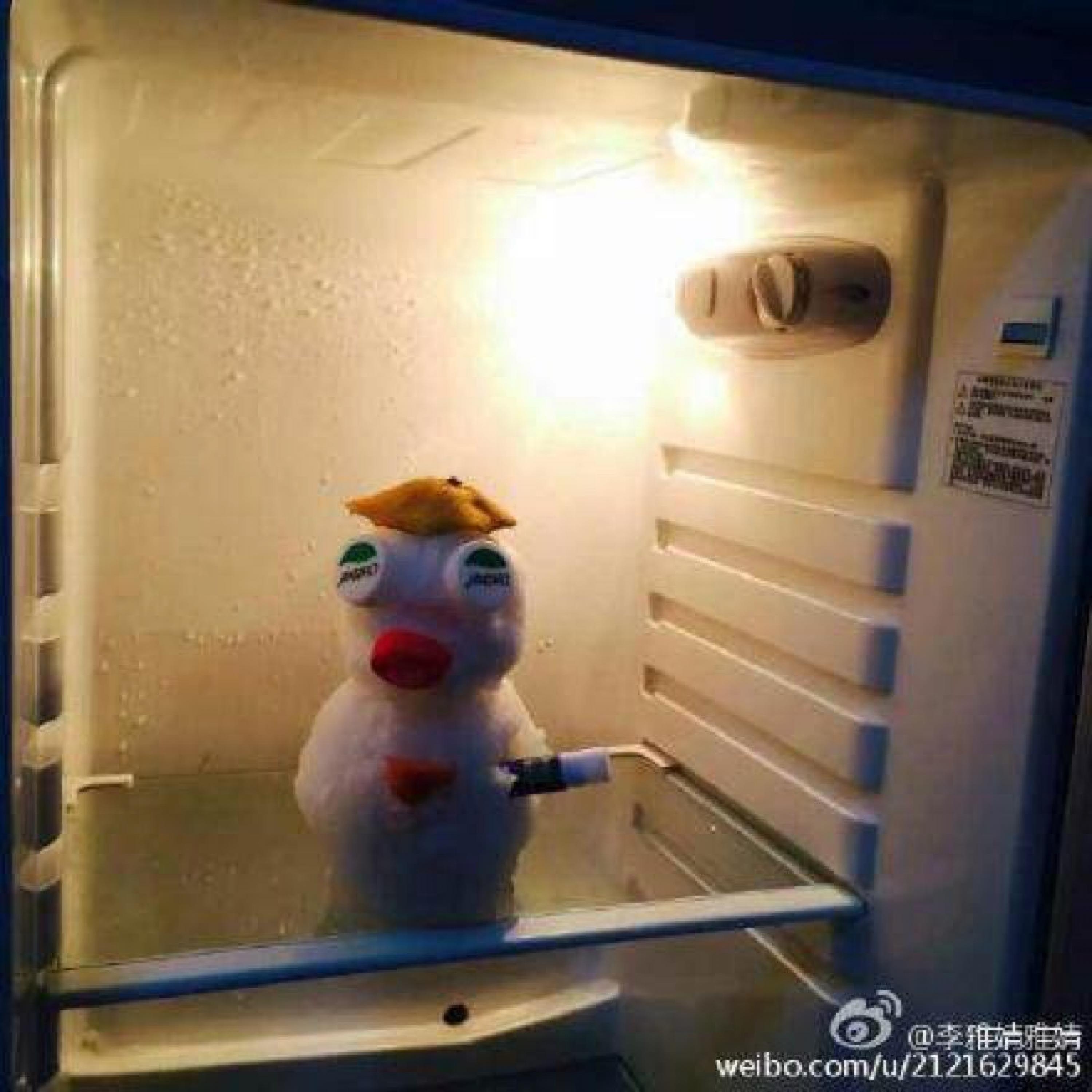 有一种爆笑，叫当南方人看到了雪.......