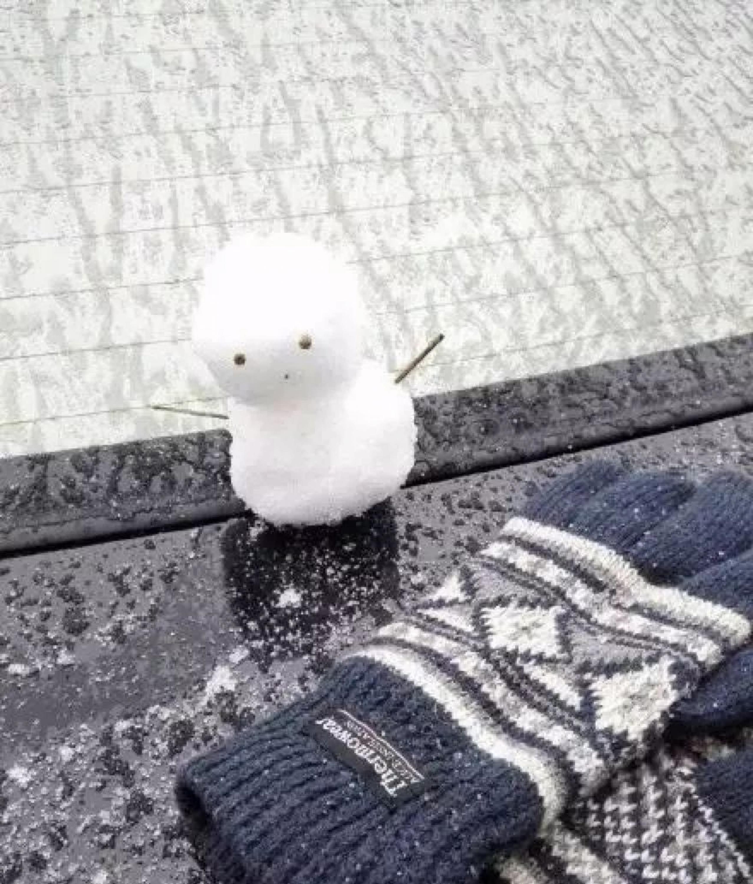 有一种爆笑，叫当南方人看到了雪.......