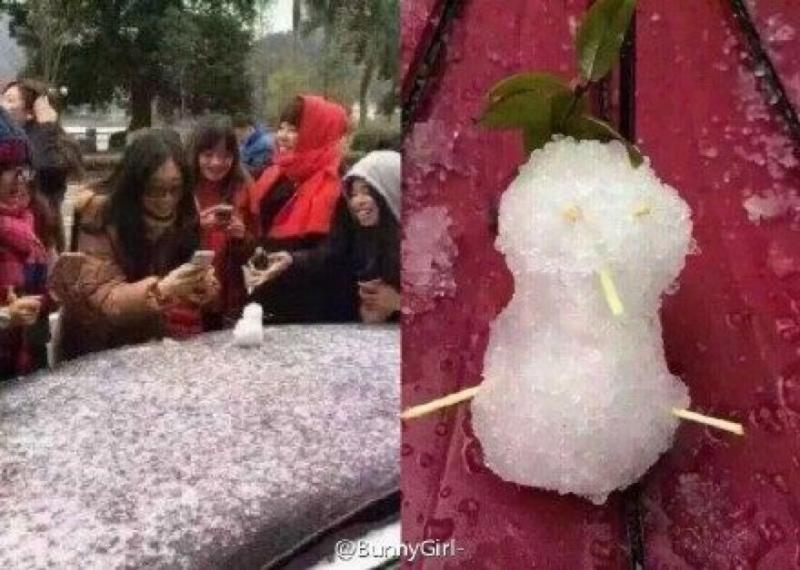 有一种爆笑，叫当南方人看到了雪.......