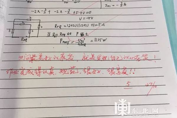 “作业略显狂躁，与本人气质明显不符！” 大学老师金句评语走红