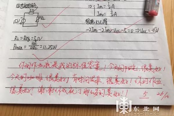 “作业略显狂躁，与本人气质明显不符！” 大学老师金句评语走红