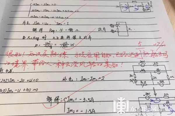 “作业略显狂躁，与本人气质明显不符！” 大学老师金句评语走红