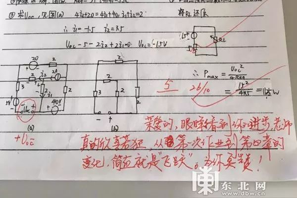 “作业略显狂躁，与本人气质明显不符！” 大学老师金句评语走红