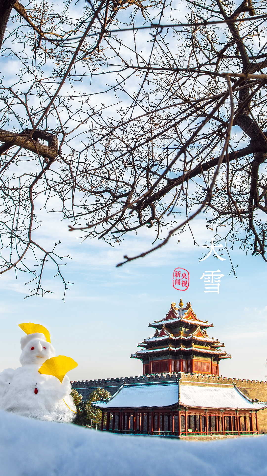 芒种 | “芒”有所获，“种”有所得