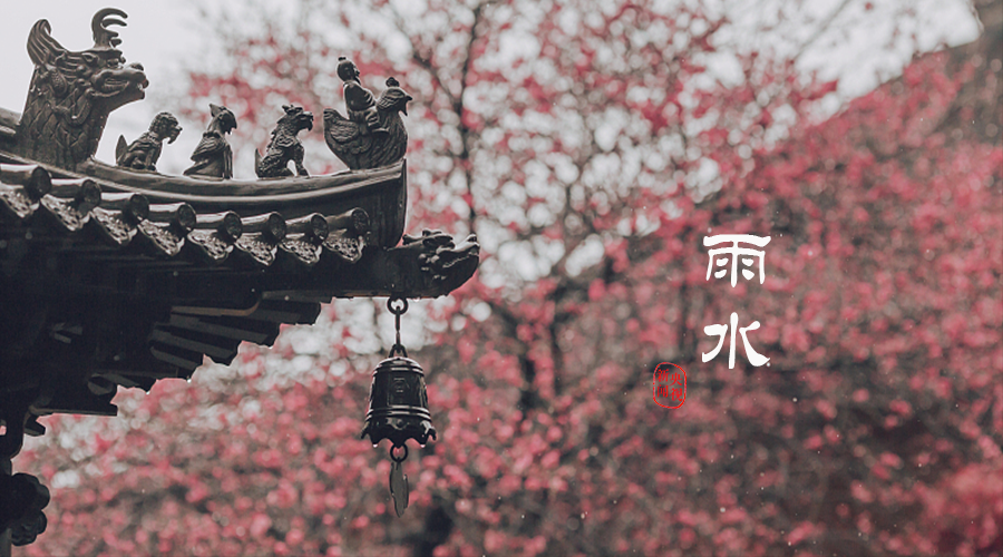 芒种 | “芒”有所获，“种”有所得