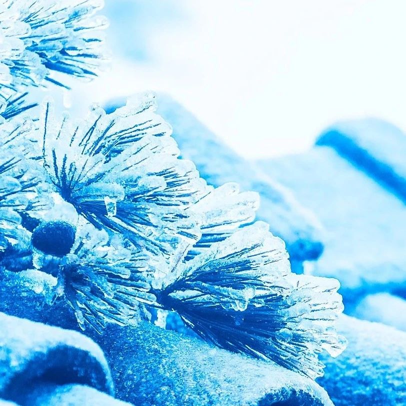 纪念币又上新！预约方法→