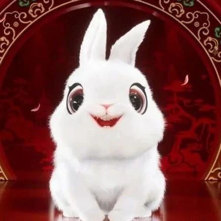 今日冬至,记得吃饺子