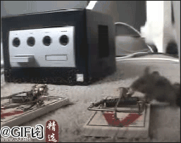 【动图世界】爆笑GIF减压图片