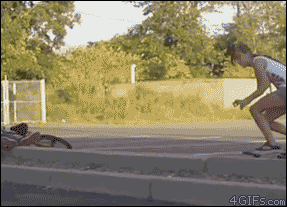 【动图世界】爆笑GIF减压图片