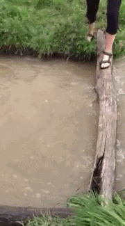 【动图世界】爆笑GIF减压图片