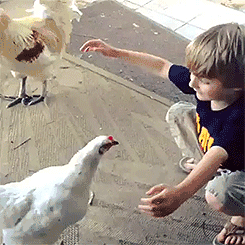 【动图世界】爆笑GIF减压图片