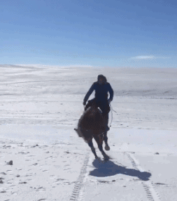 搞笑GIF集锦：最火搞笑动图，笑抽了 ……