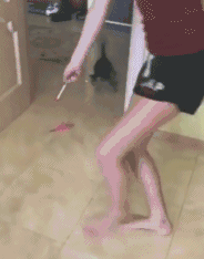 搞笑GIF集锦：最火搞笑动图，笑抽了 ……